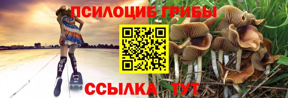 Псилоцибиновые грибы мухоморы  Вход с VPN  Баксан 
