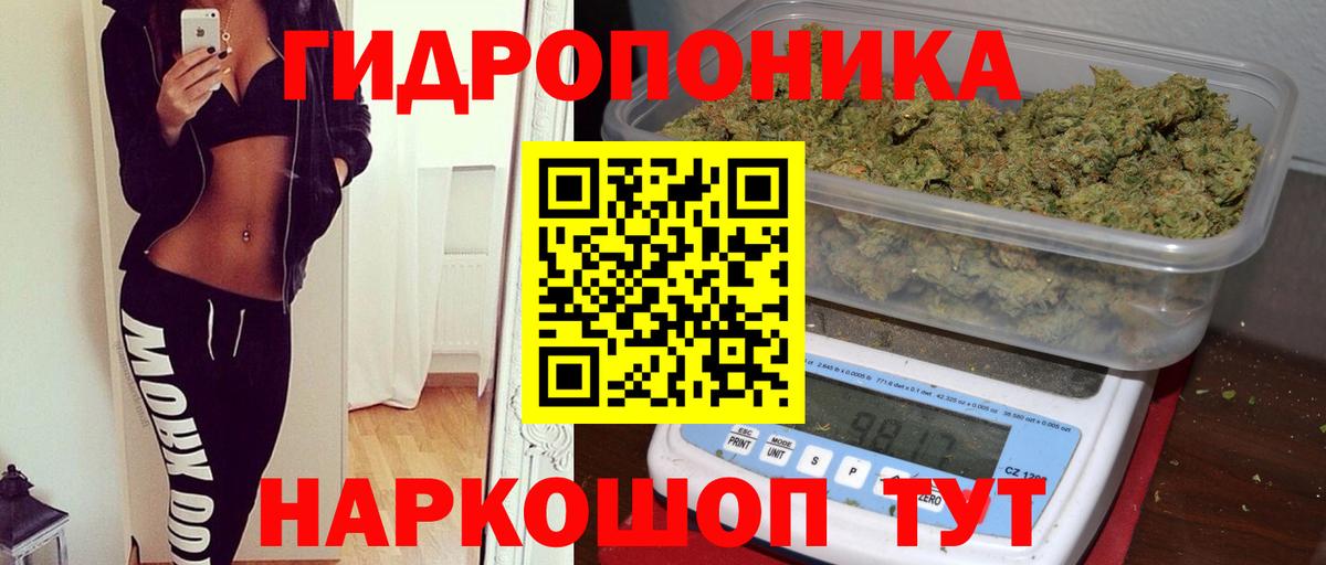 Марихуана семена Баксан